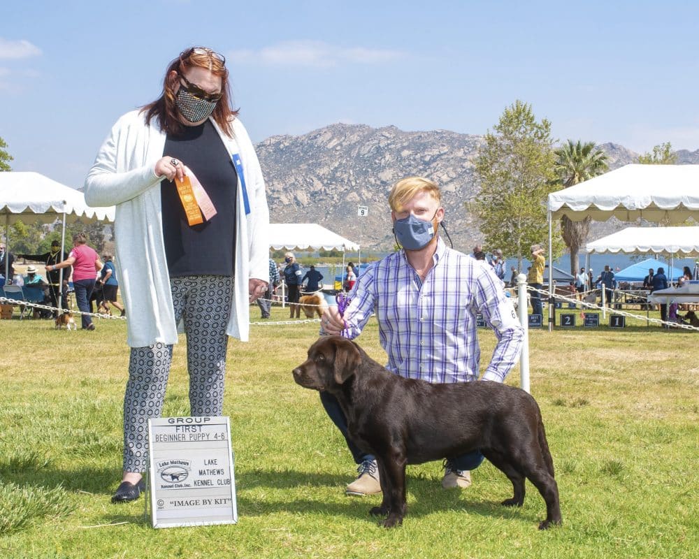 My first AKC Dog Show – What to expect and what I learned