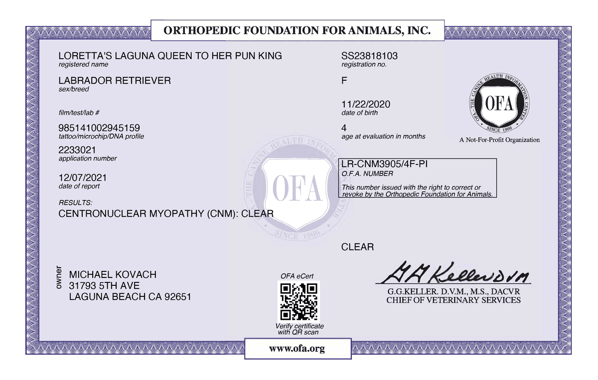 LORETTA_S-LAGUNA-QUEEN-TO-HER-PUN-KING-CENTRONUCLEAR-MYOPATHY-04_19_2021-CENTRONUCLEAR-MYOPATHY