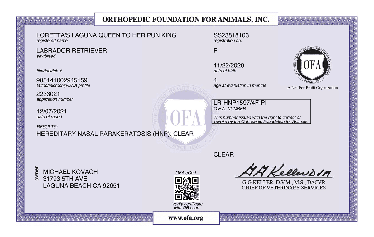 LORETTA_S-LAGUNA-QUEEN-TO-HER-PUN-KING-HEREDITARY-NASAL-PARAKERATOSIS-04_19_2021-HEREDITARY-NASAL-PARAKERATOSIS