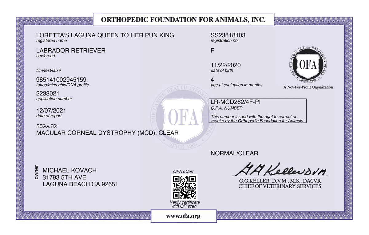 LORETTA_S-LAGUNA-QUEEN-TO-HER-PUN-KING-MACULAR-CORNEAL-DYSTROPHY-04_19_2021-MACULAR-CORNEAL-DYSTROPHY