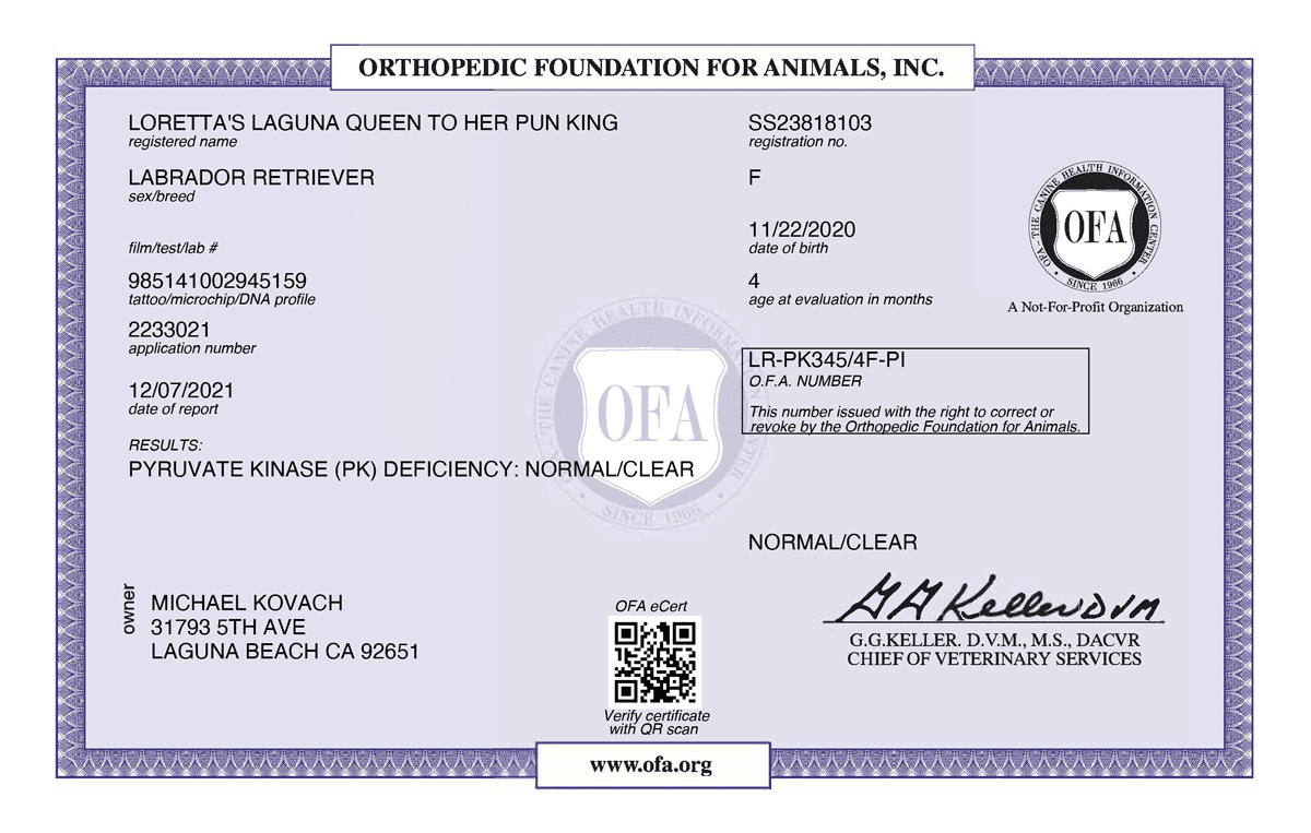 LORETTA_S-LAGUNA-QUEEN-TO-HER-PUN-KING-PYRUVATE-KINASE-DEFICIENCY-04_19_2021-PYRUVATE-KINASE-DEFICIENCY