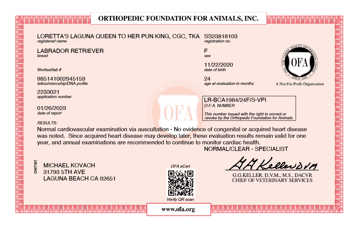 LORETTA_S-LAGUNA-QUEEN-TO-HER-PUN-KING-BASIC-CARDIAC-11_23_2022-BASIC-CARDIAC
