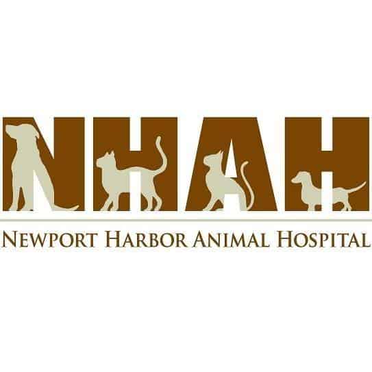 Our Friends Laguna Labradors Orange County English Labrador