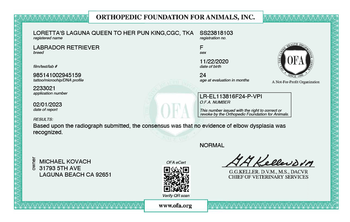 ofa-elbow-score-laguna-labradors