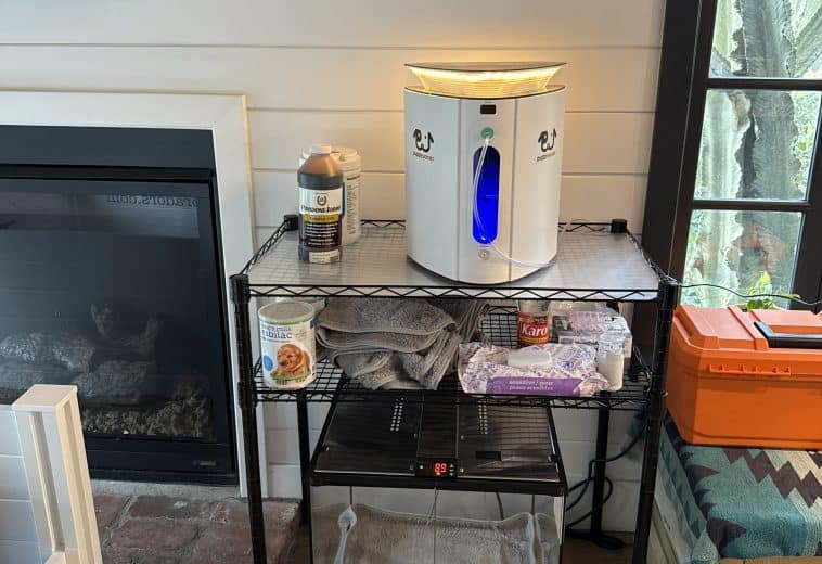 Puppy Warmer Incubator and Oxygen Concentrator