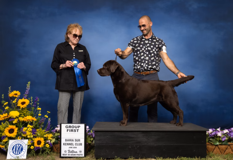 CH Laguna’s Queen Bee Cleo – Group First Bahia Sur KC 2026
