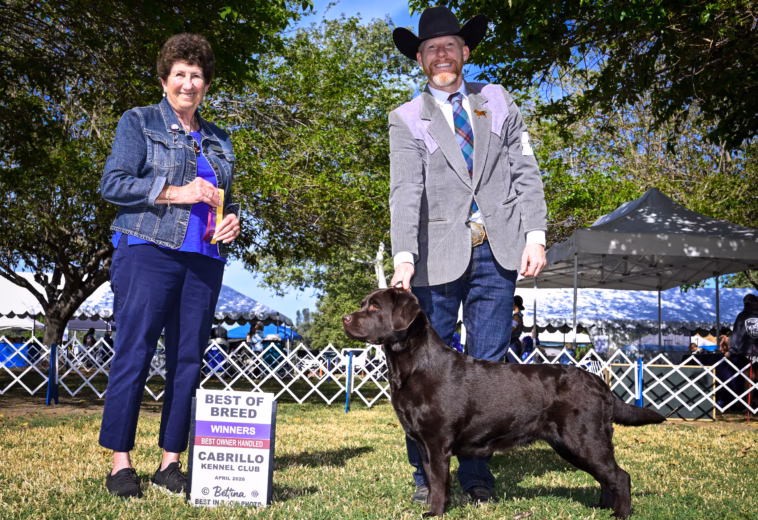 Cleo – Best of Breed at Cabrillo Kennel Club